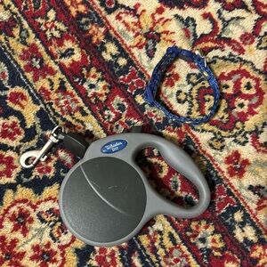 Kitten collar and leash set